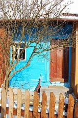 Mikolaj 8